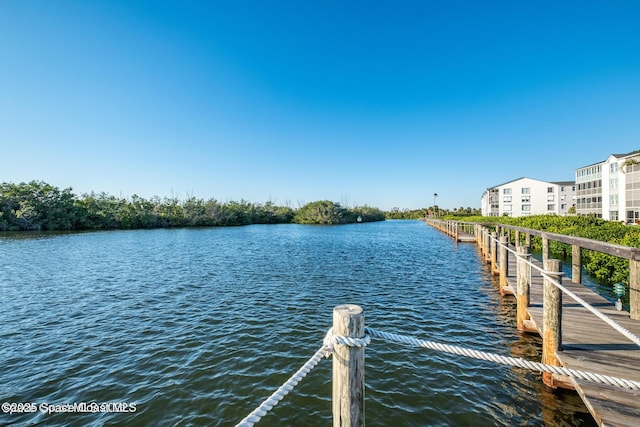 dock area featuring a water view
