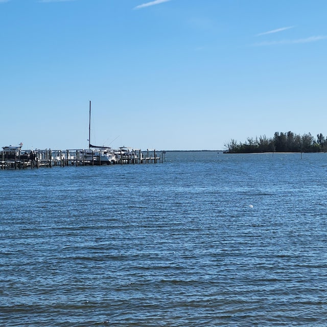 water view featuring a dock