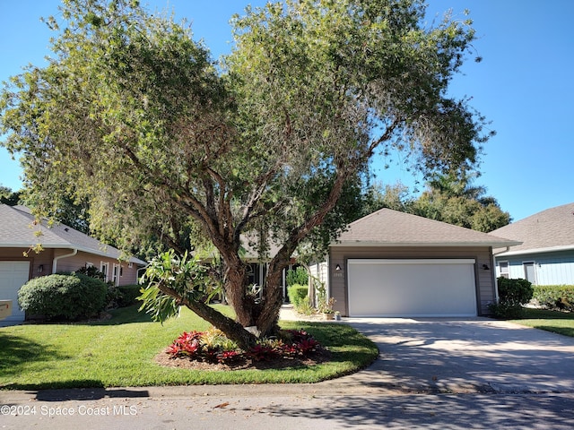 view of front facade with a front lawn and a garage