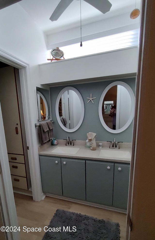 bathroom with vanity, plenty of natural light, and wood-type flooring