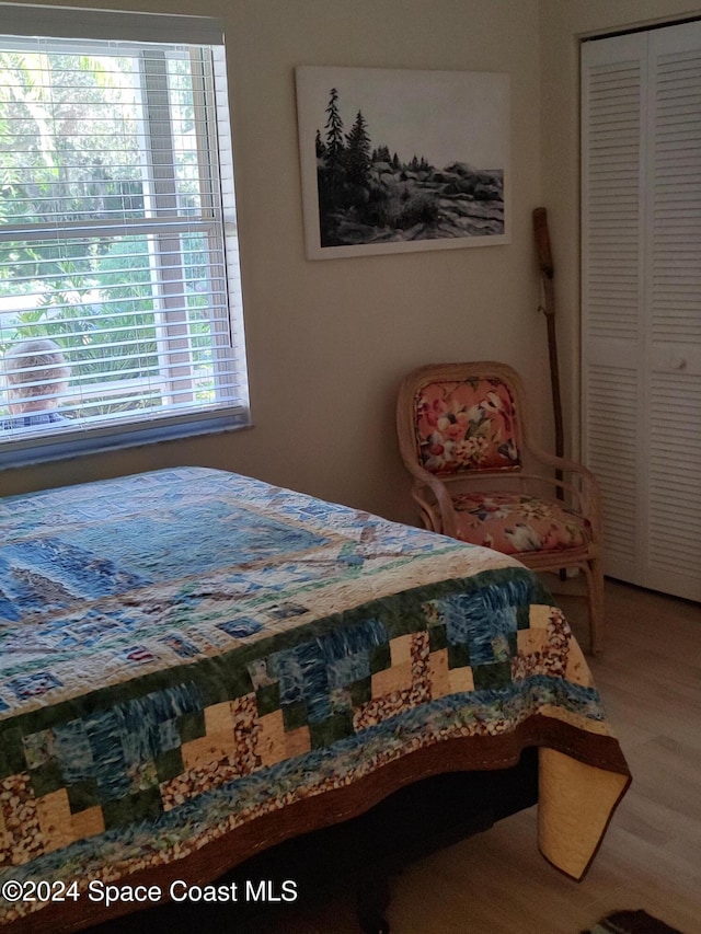 bedroom featuring wood-type flooring and a closet