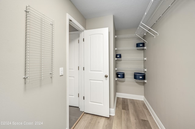 walk in closet featuring light hardwood / wood-style flooring