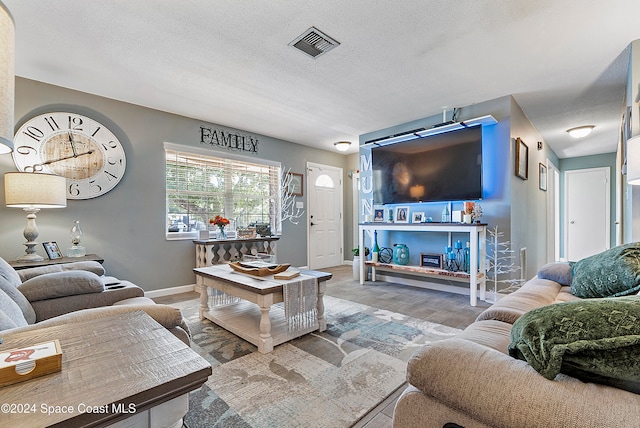 living room featuring hardwood / wood-style floors and a textured ceiling