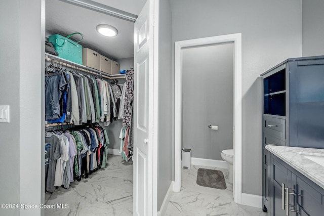 view of spacious closet