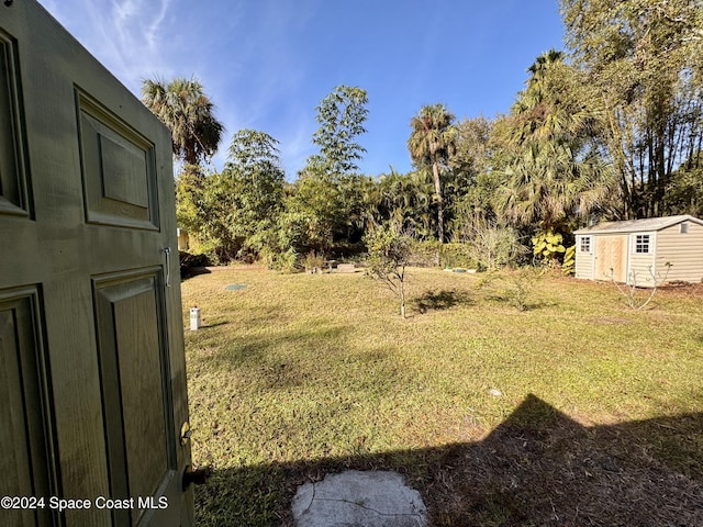 view of yard with a storage unit