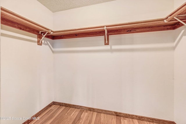 spacious closet with wood-type flooring