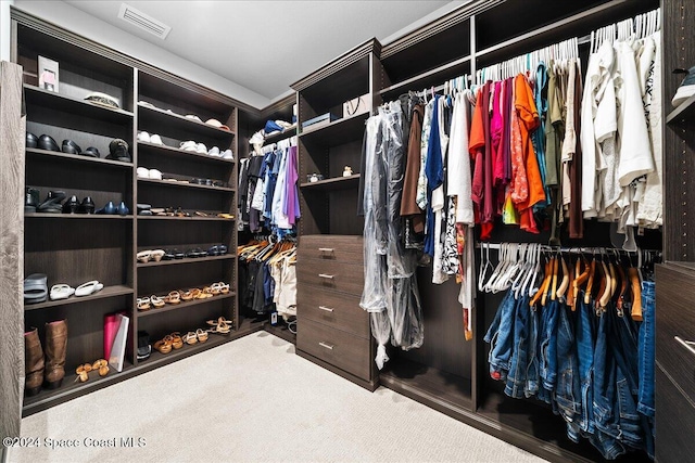 walk in closet with carpet floors