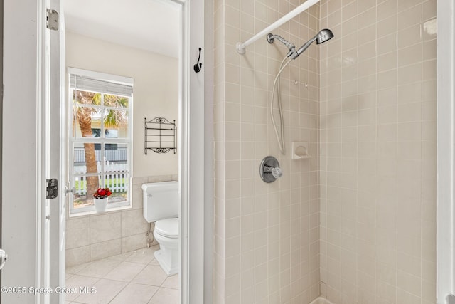 36 Vip Is Unit A, Grant, FL 32949 - bathroom featuring a shower stall, toilet, tile walls, and tile patterned flooring