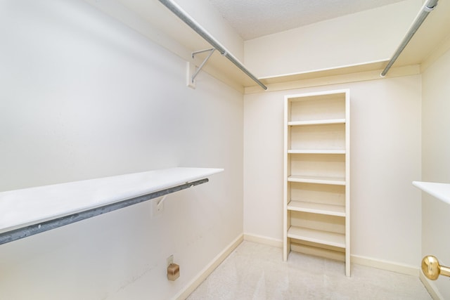 walk in closet with light colored carpet