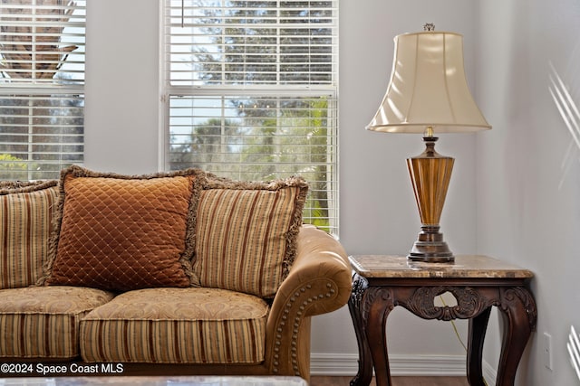 sitting room featuring a healthy amount of sunlight