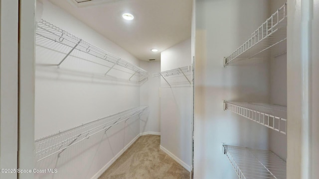 spacious closet featuring light colored carpet