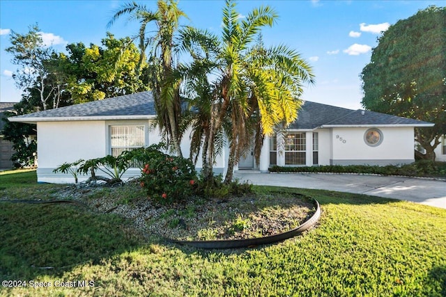 ranch-style house featuring a front yard