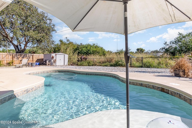 view of swimming pool with a storage shed and a patio