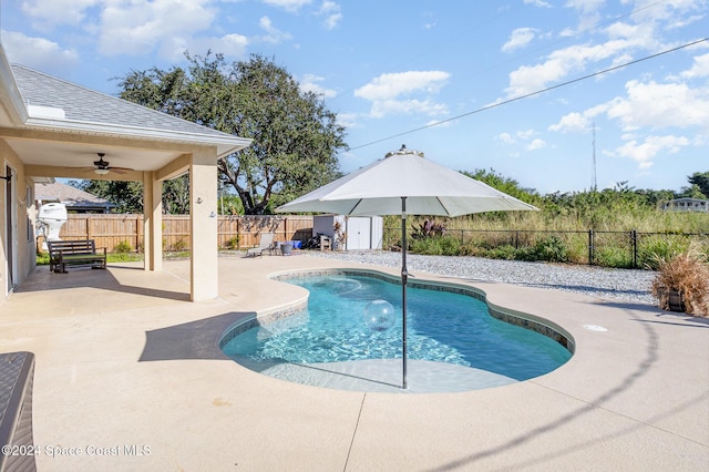 view of swimming pool with ceiling fan, a shed, and a patio