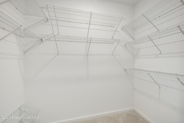 spacious closet with carpet