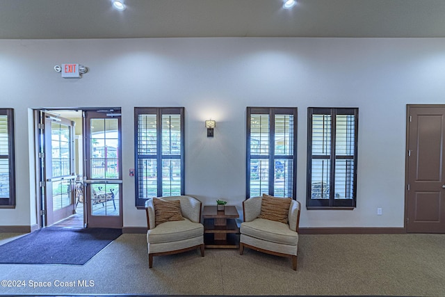 sitting room with carpet floors