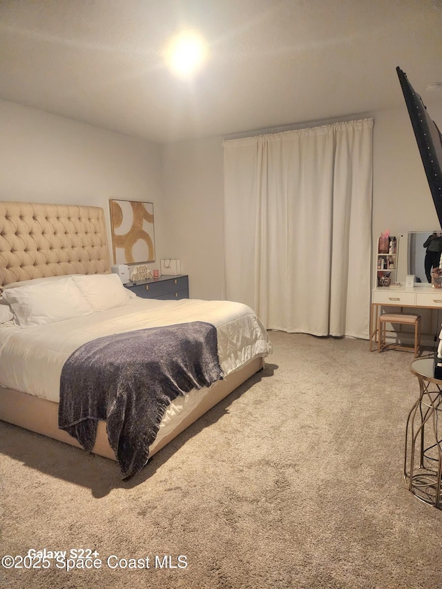 1631 Wake Forest Rd NW, Palm Bay, FL 32907 - view of carpeted bedroom
