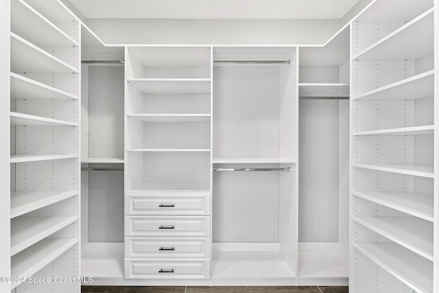 view of spacious closet