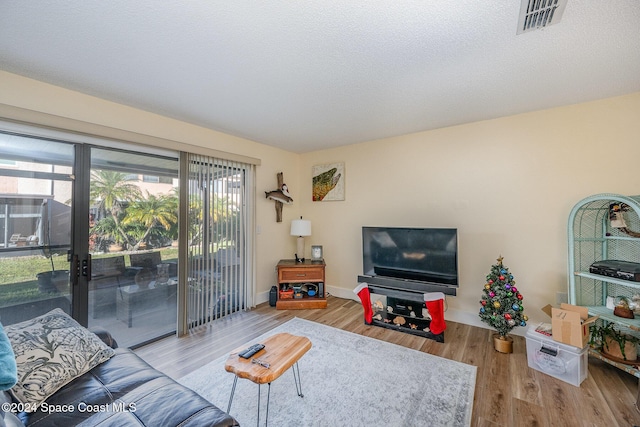 living room featuring light hardwood / wood-style flooring