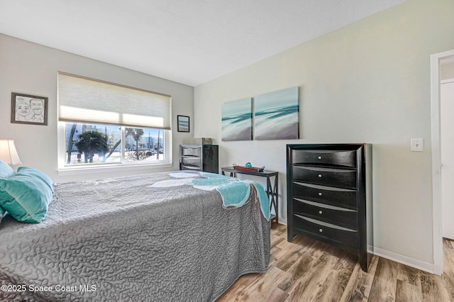 bedroom with wood-type flooring