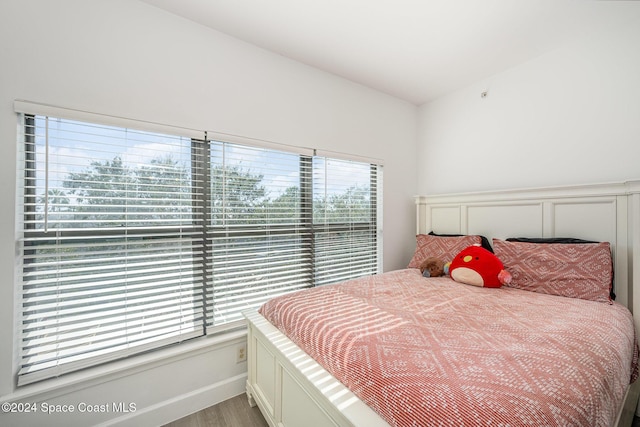 bedroom with wood-type flooring and multiple windows