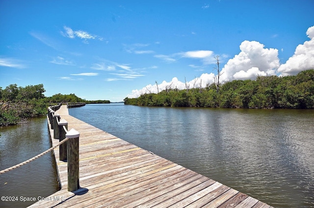 dock area featuring a water view