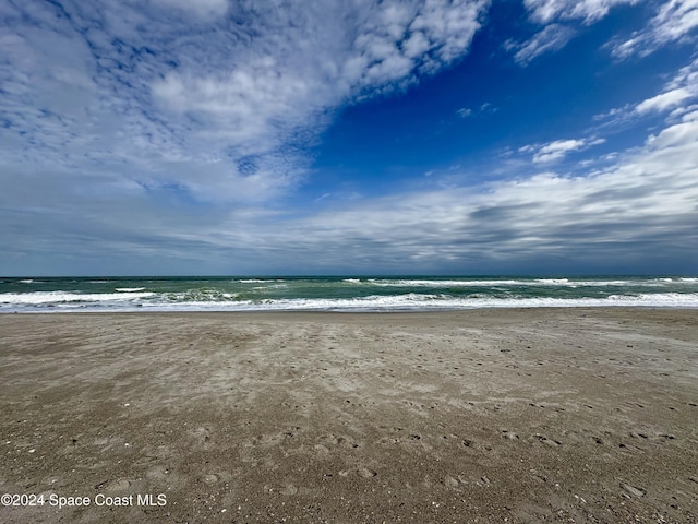 water view featuring a beach view