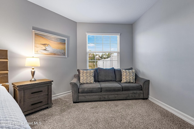 living room featuring carpet