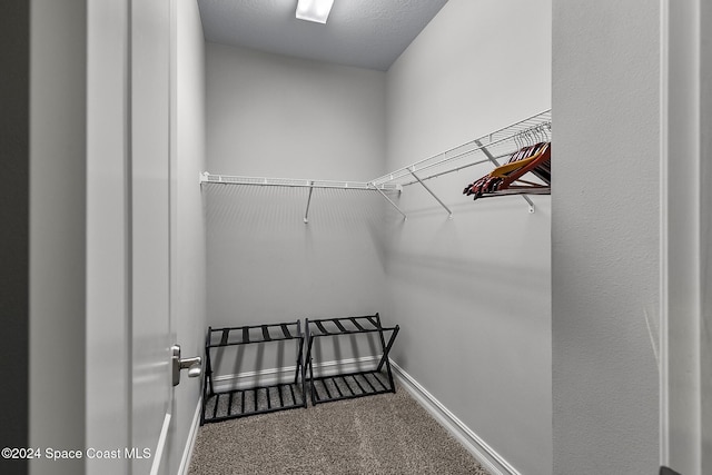 walk in closet featuring carpet flooring