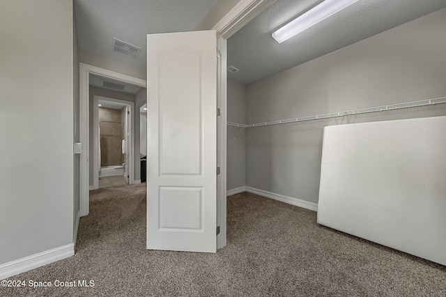 walk in closet featuring carpet floors