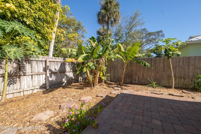 view of yard with a patio area