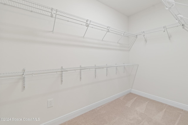 spacious closet with carpet floors