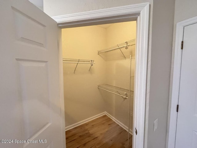 walk in closet with hardwood / wood-style flooring