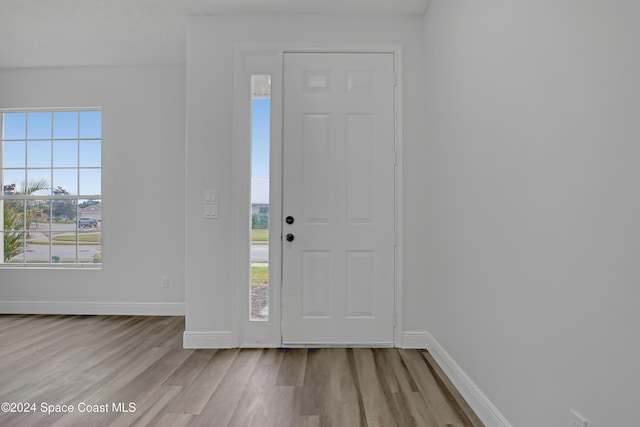 entrance foyer featuring light hardwood / wood-style floors