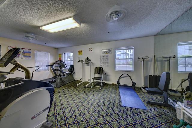 exercise room featuring carpet floors, a healthy amount of sunlight, and a textured ceiling