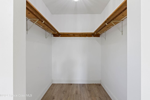 walk in closet featuring light hardwood / wood-style floors