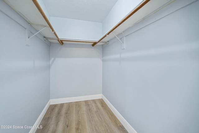 spacious closet with light wood-type flooring