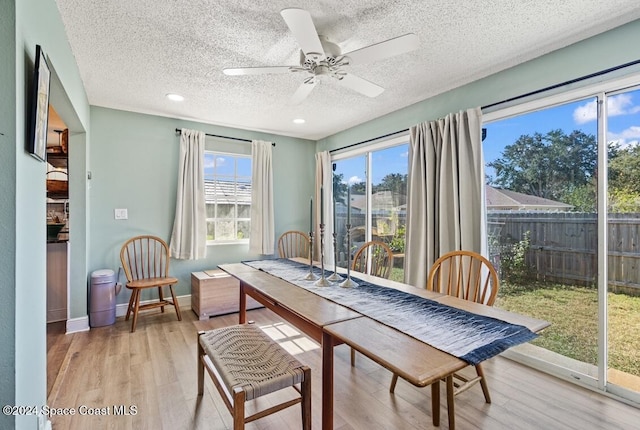 dining area featuring a textured ceiling, light hardwood / wood-style floors, and ceiling fan