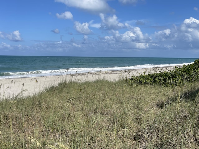 water view featuring a beach view