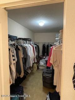 spacious closet with carpet floors