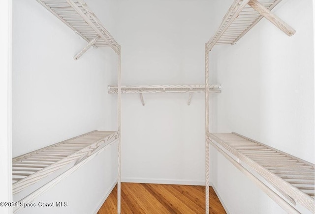 spacious closet featuring hardwood / wood-style floors