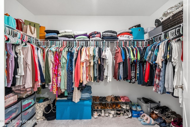 spacious closet featuring carpet