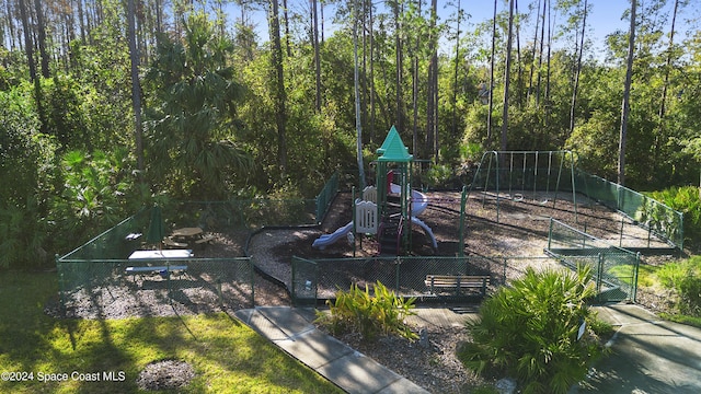 view of jungle gym