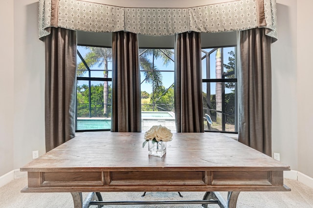 dining space featuring carpet flooring