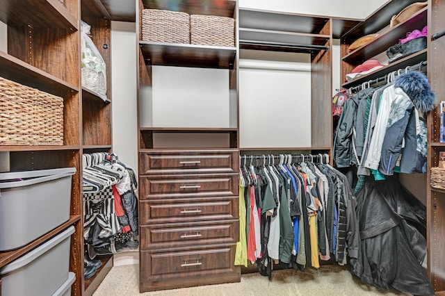 spacious closet with carpet