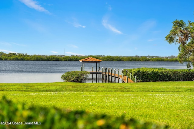 dock area with a yard and a water view