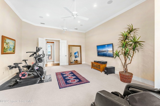 exercise area with carpet flooring, ceiling fan, and crown molding