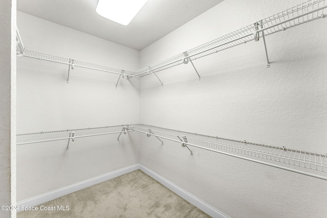 walk in closet with carpet floors