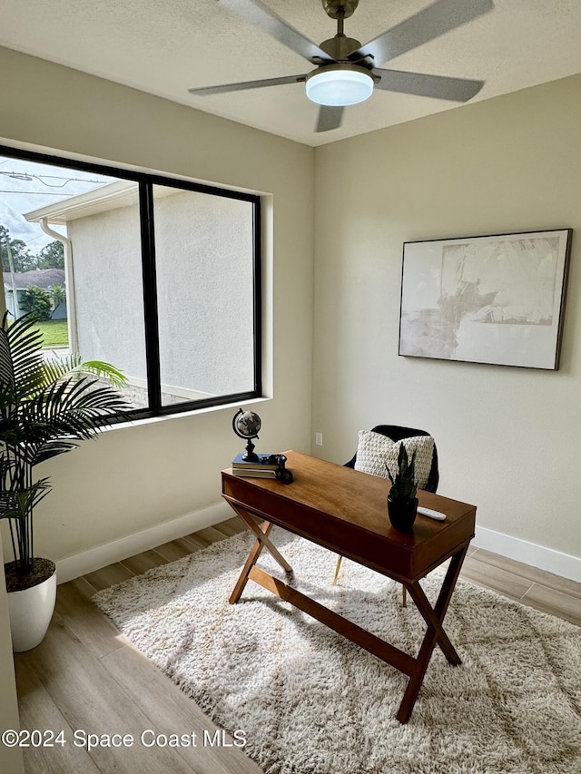 office with ceiling fan, light hardwood / wood-style floors, and a textured ceiling