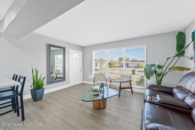 living room with light wood-type flooring